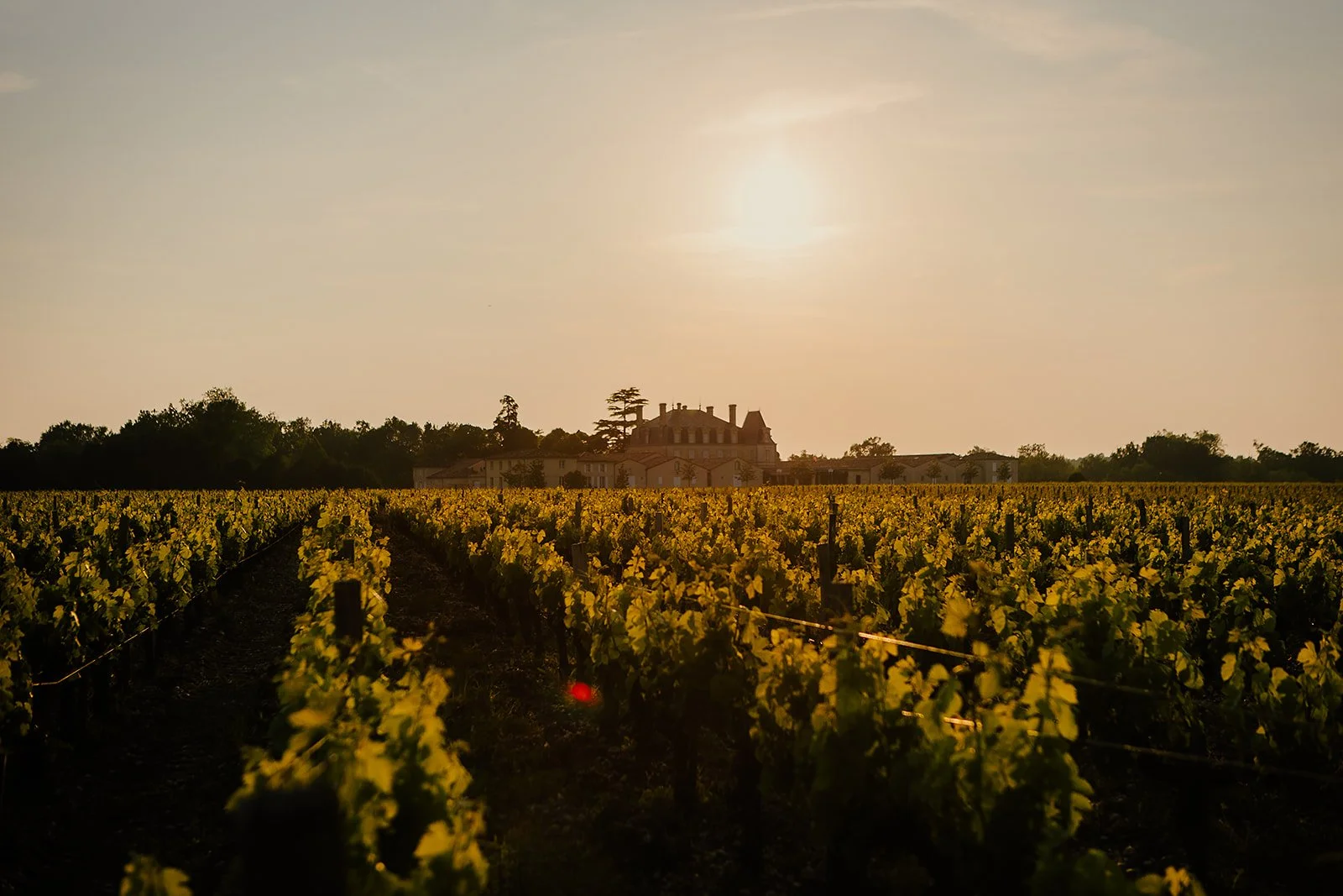 France - Casey Bell Photography (116).jpg