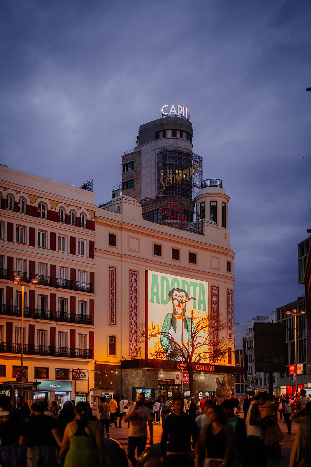 Madrid - Casey Bell Photography (85).jpg