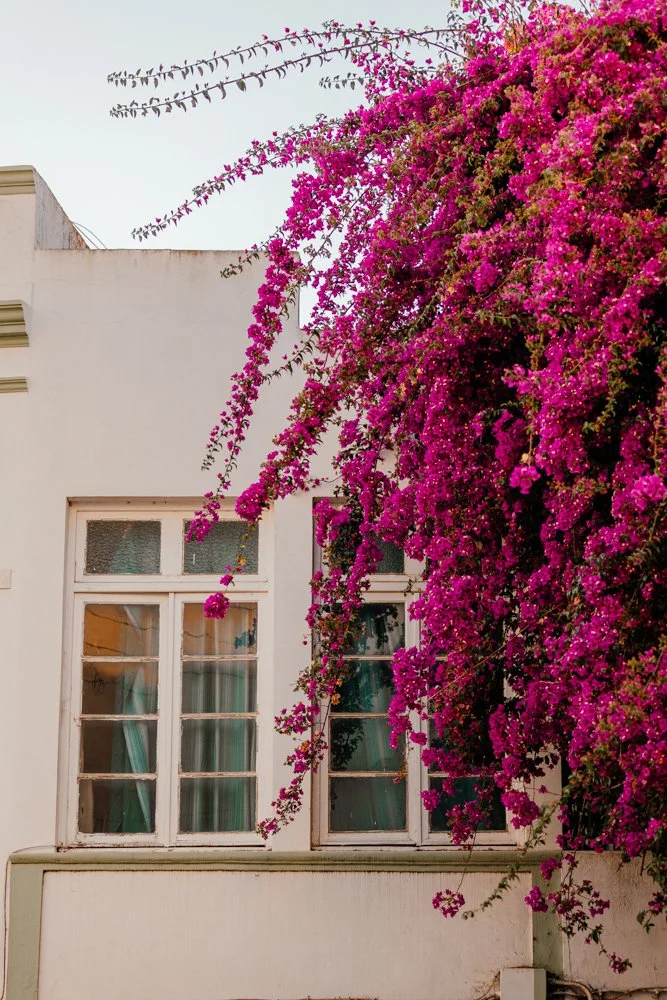 Lagos - Casey Bell Photography (5).jpg