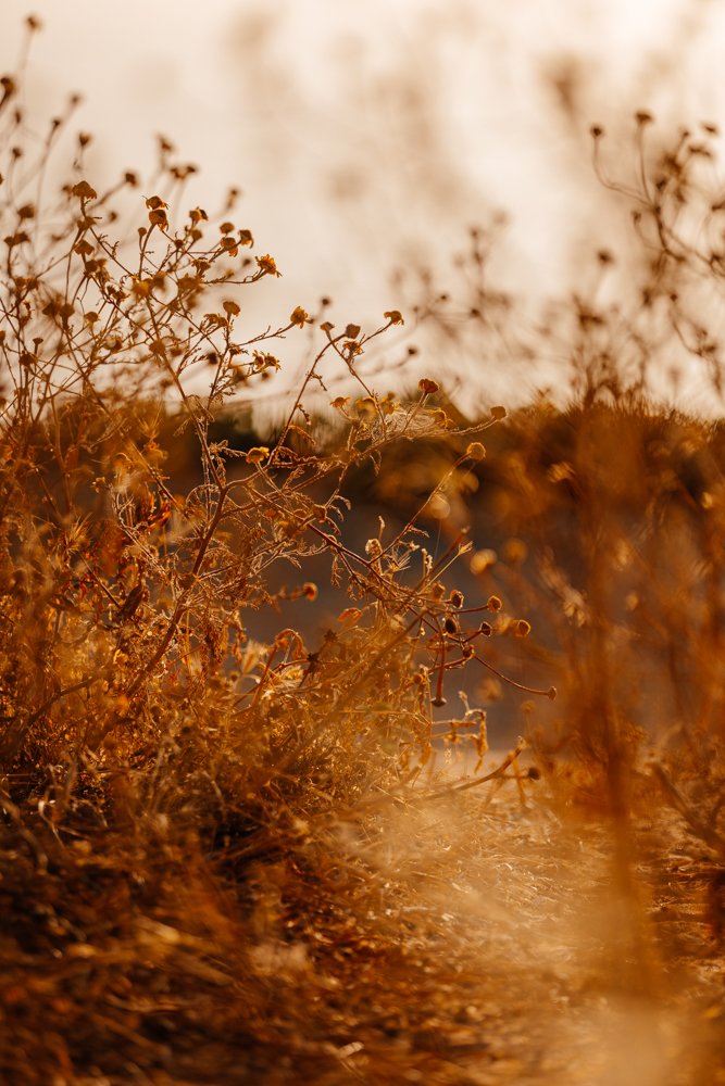 Lagos - Casey Bell Photography (12).jpg