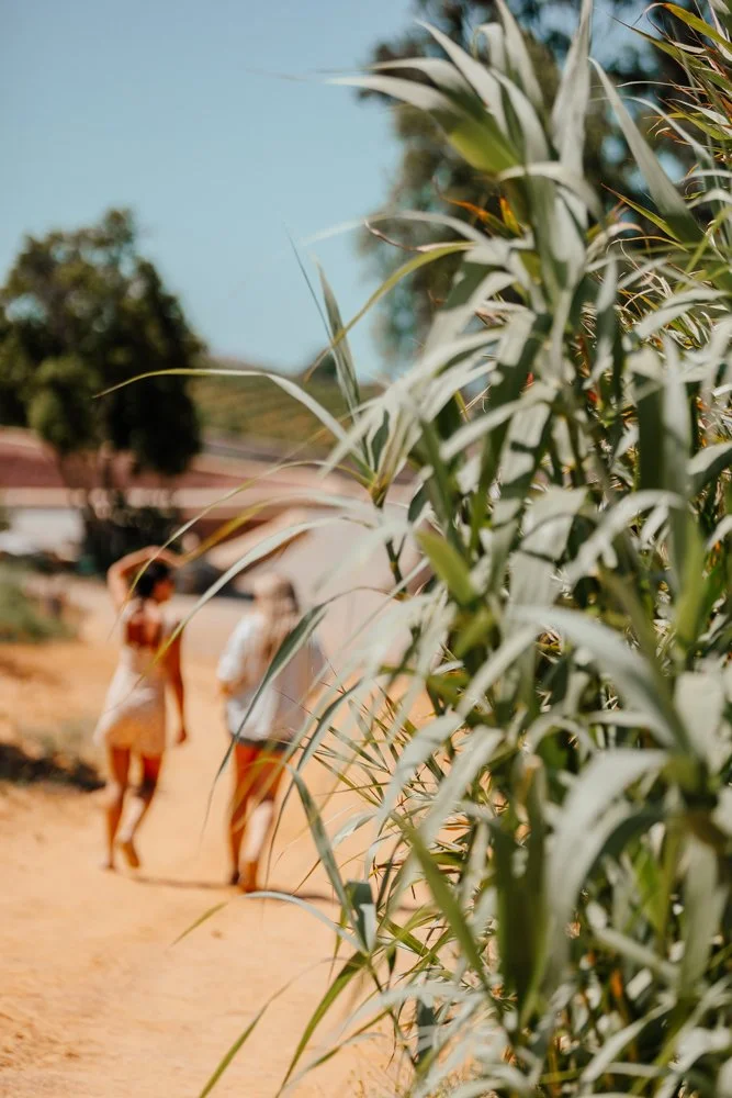 Quinta dos Vales Algarve - Casey Bell Photography (3).jpg