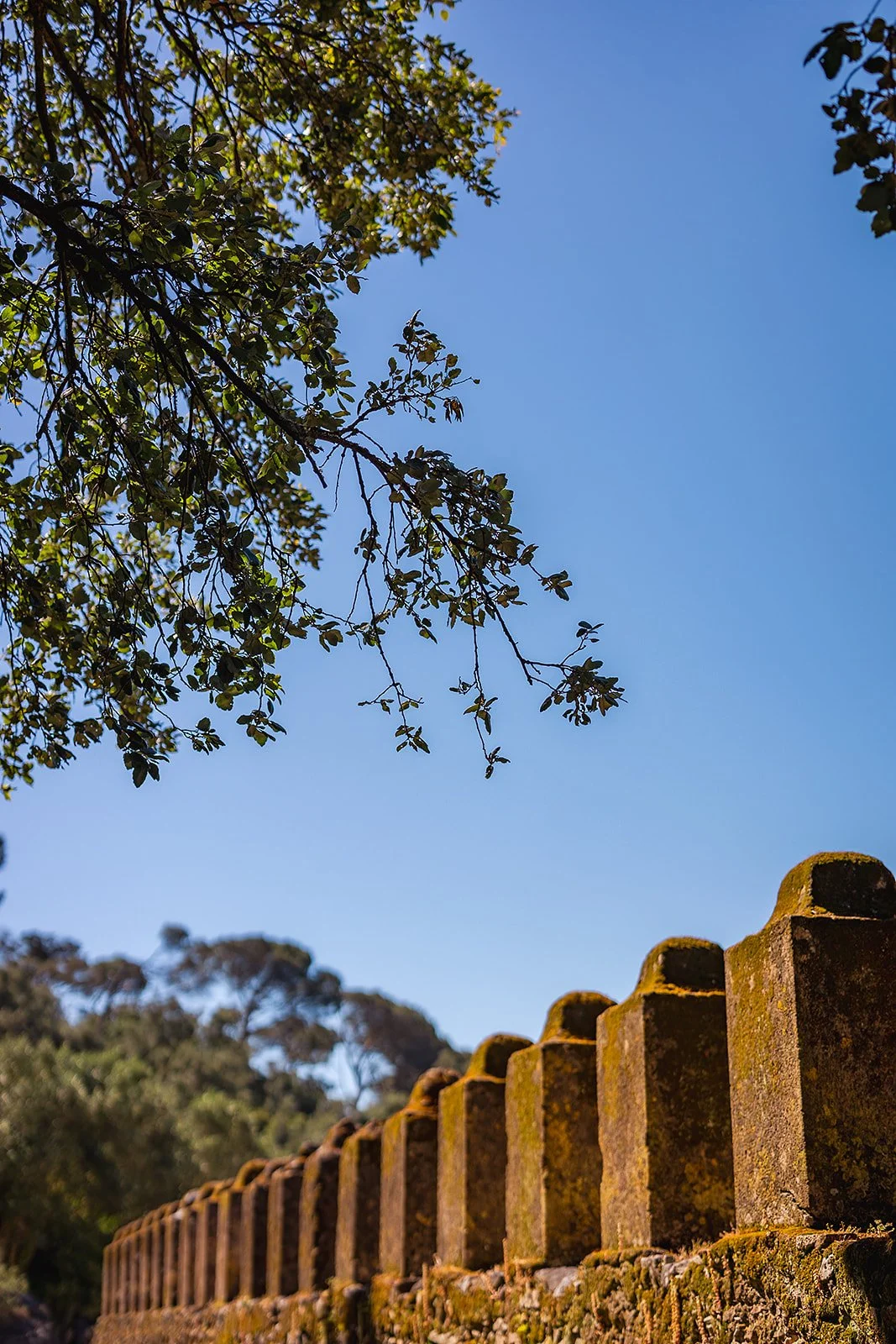 Penha Longa Resort - Casey Bell Photography (62).jpg