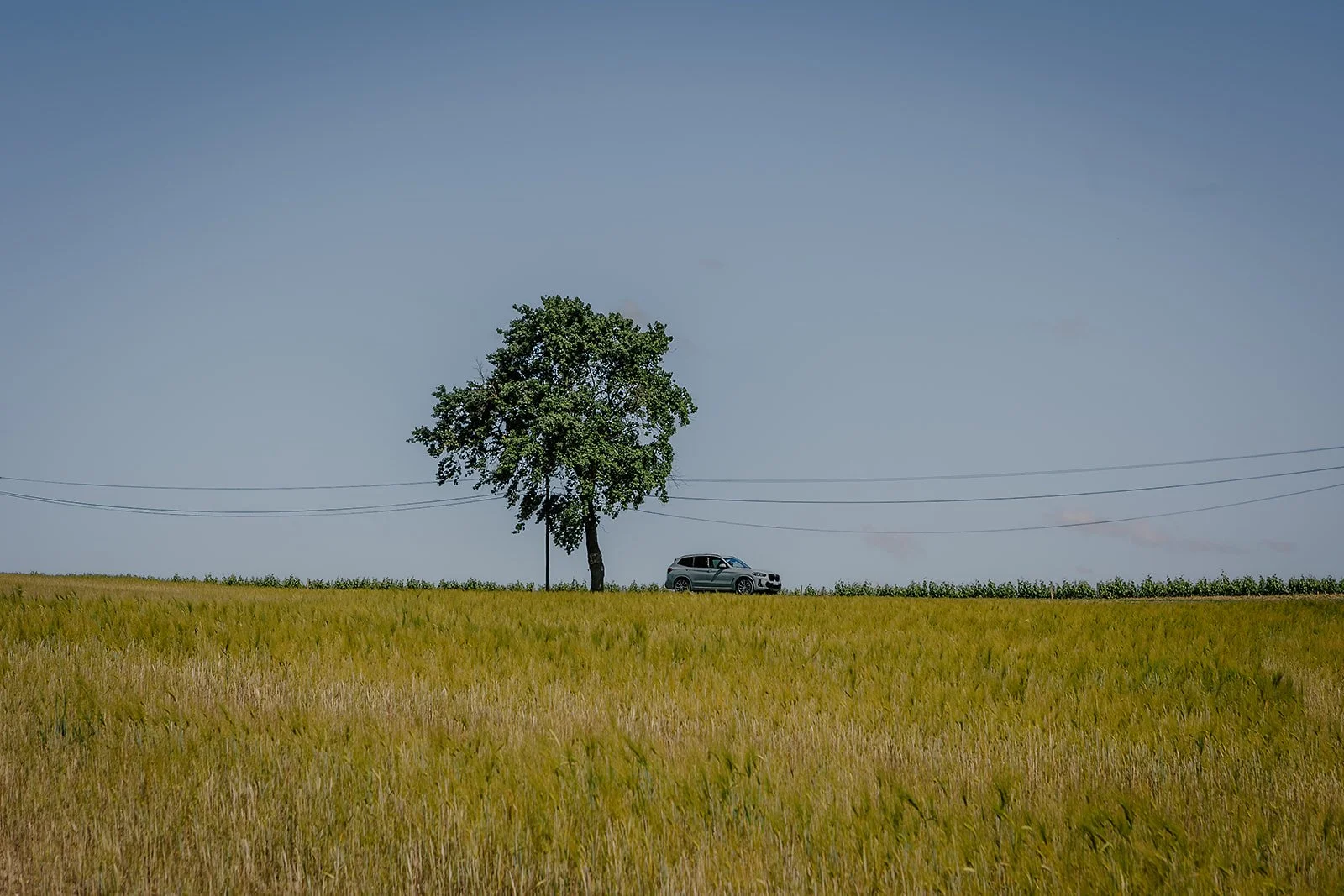 France - Casey Bell Photography (71).jpg