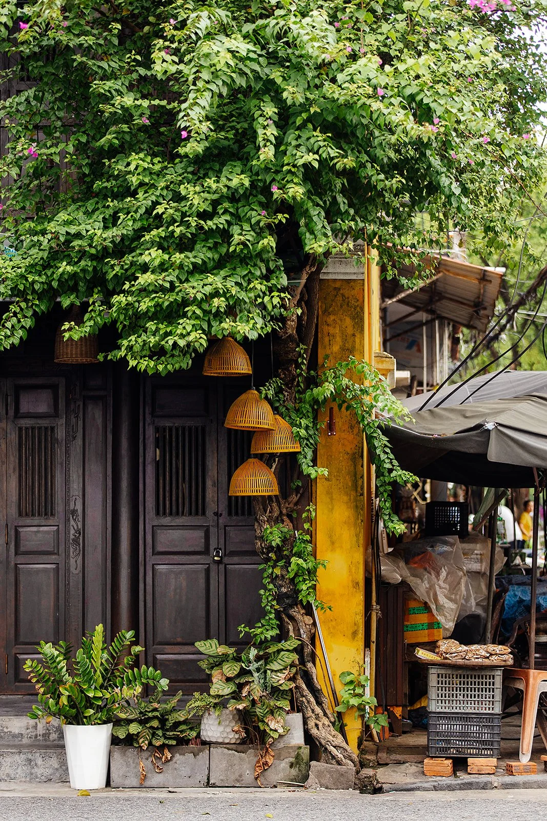 Hoi An - Casey Bell Photographer (7).jpg