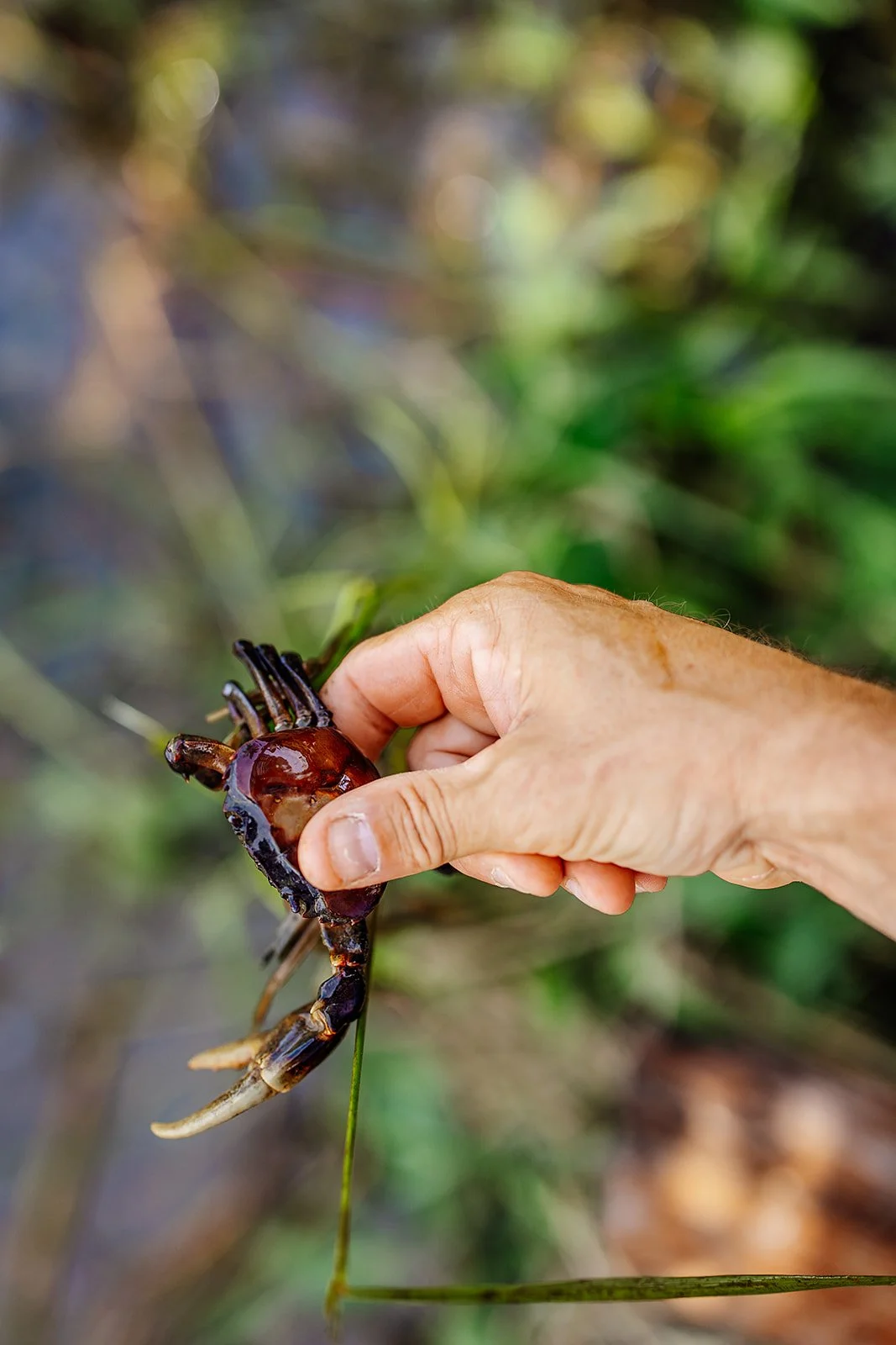 Hoi An - Casey Bell Photographer (53).jpg
