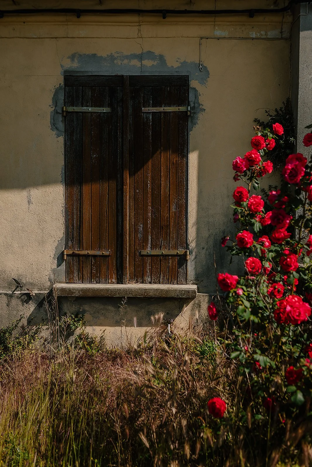 France - Casey Bell Photography (55).jpg