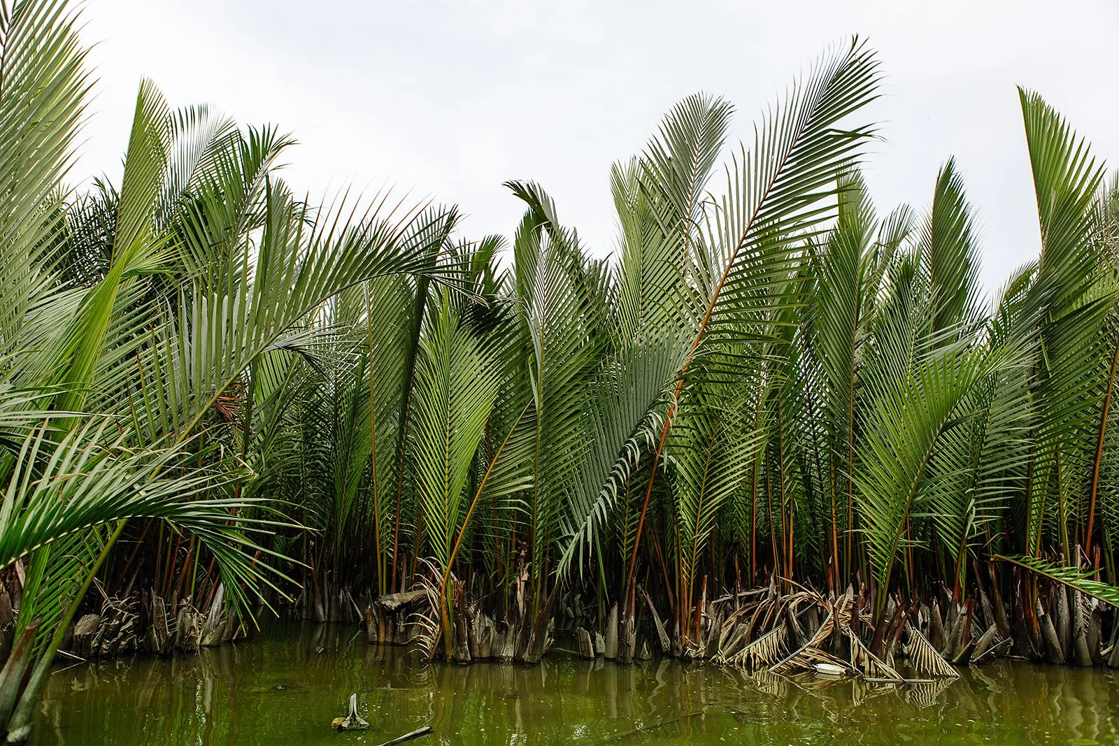 Hoi An - Casey Bell Photographer (16).jpg