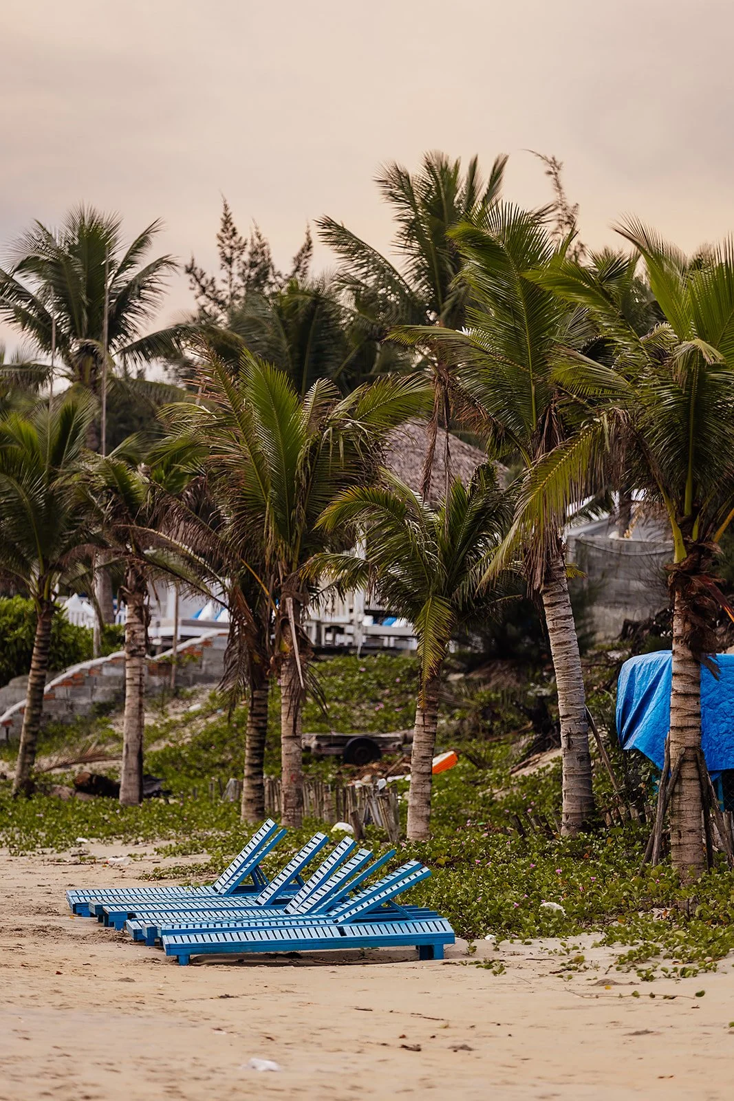 An Bang - Casey Bell Photography-18.jpg