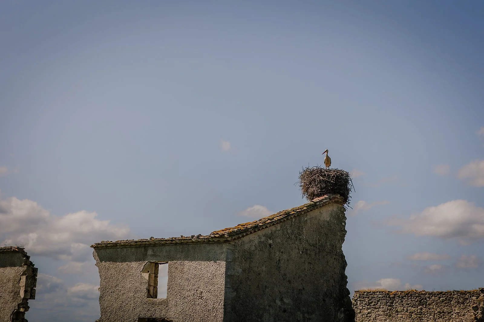 France - Casey Bell Photography (19).jpg