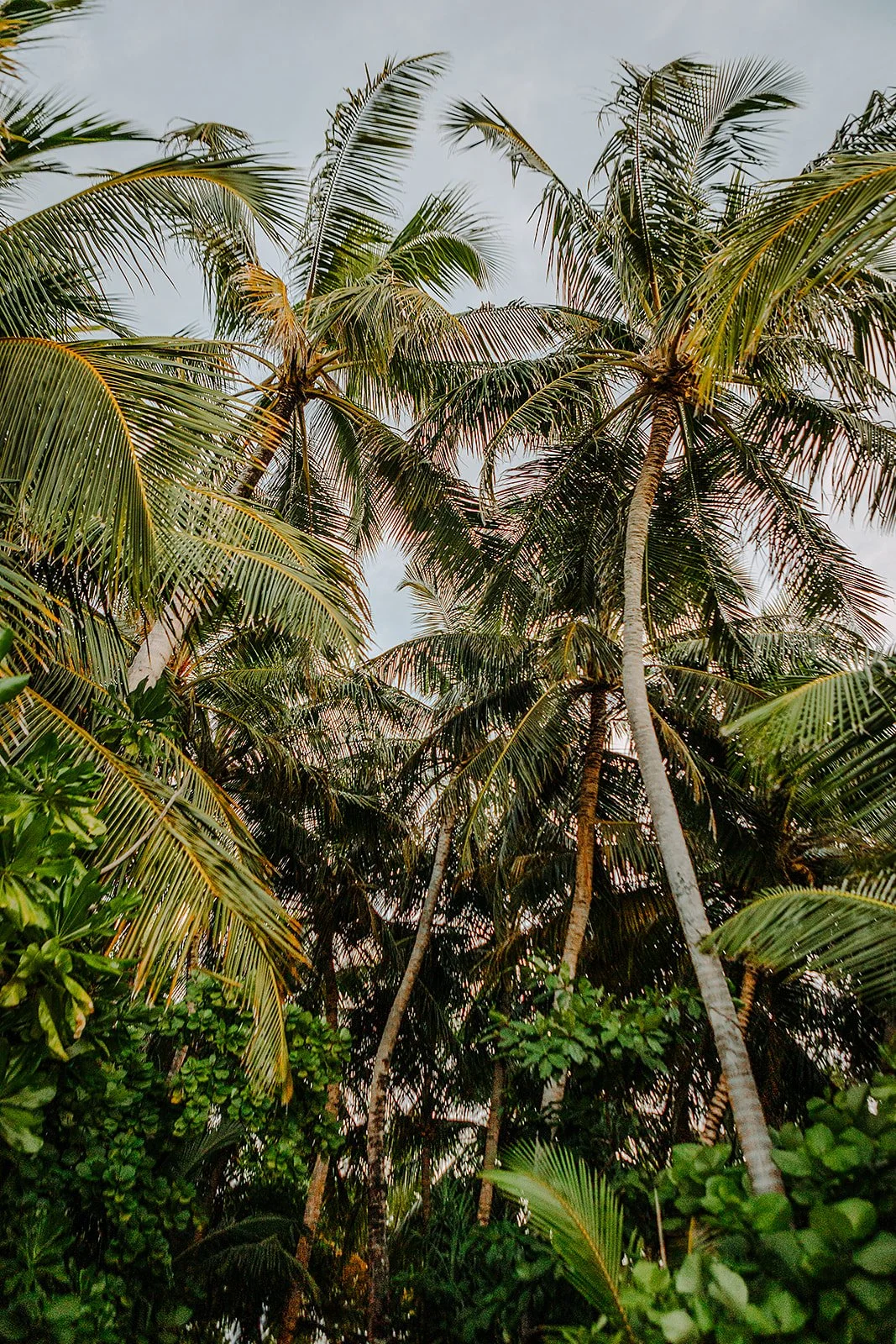 Conrad Maldives Rangali Island - Casey Bell Photography (32).jpg