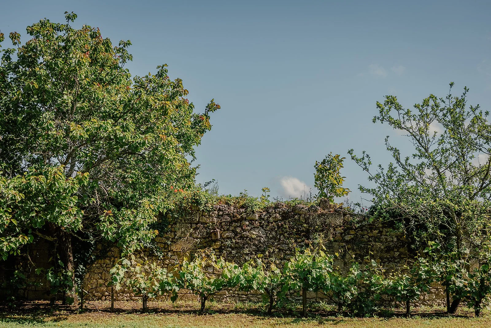 La Maison d'Estournel - Casey Bell Photography (9).jpg