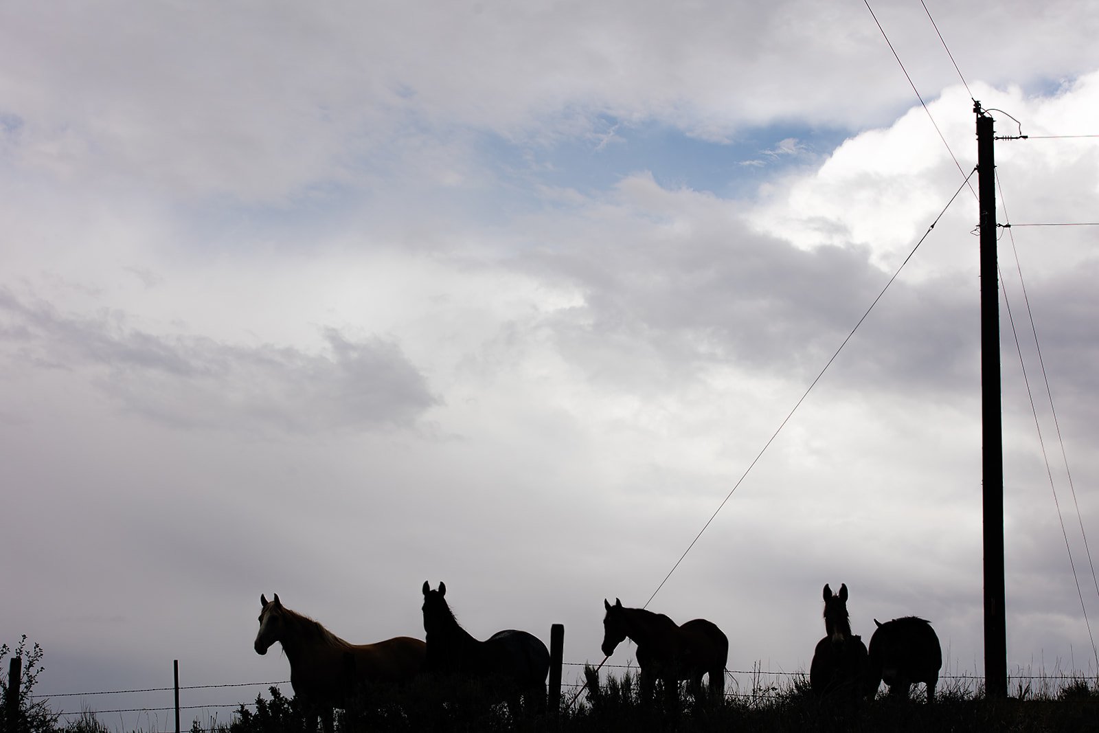 Idaho Road Trip - © Casey Bell Photography (33).jpg