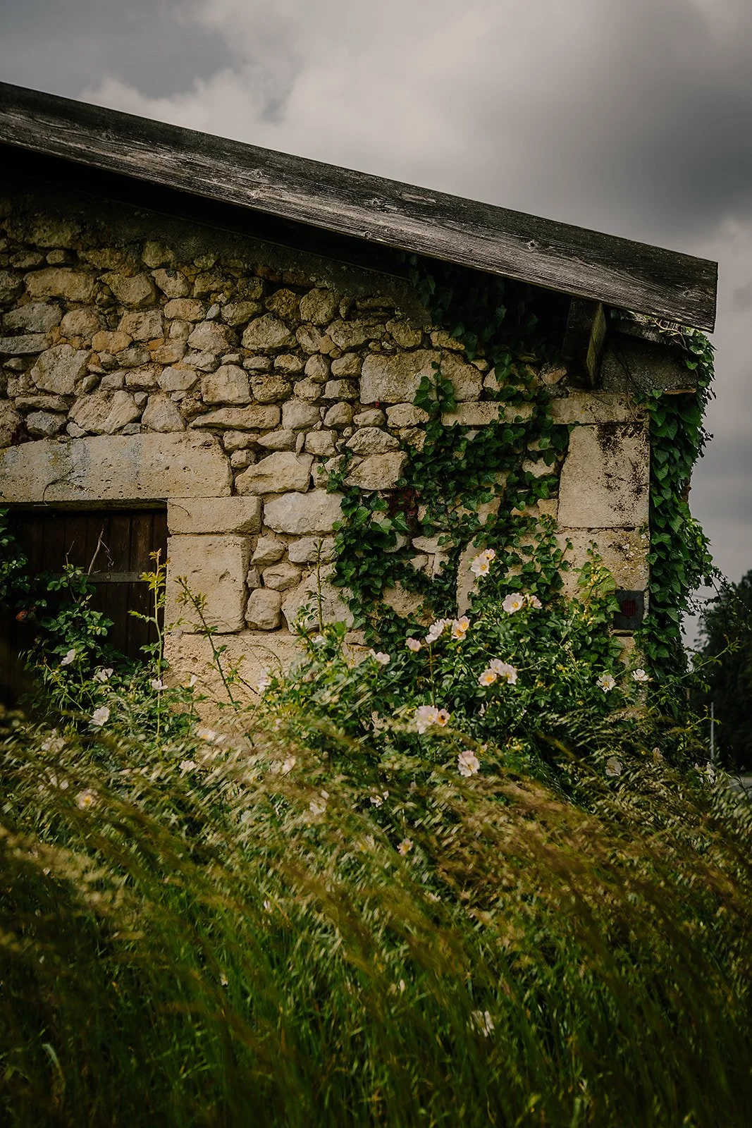 France - Casey Bell Photography (81).jpg