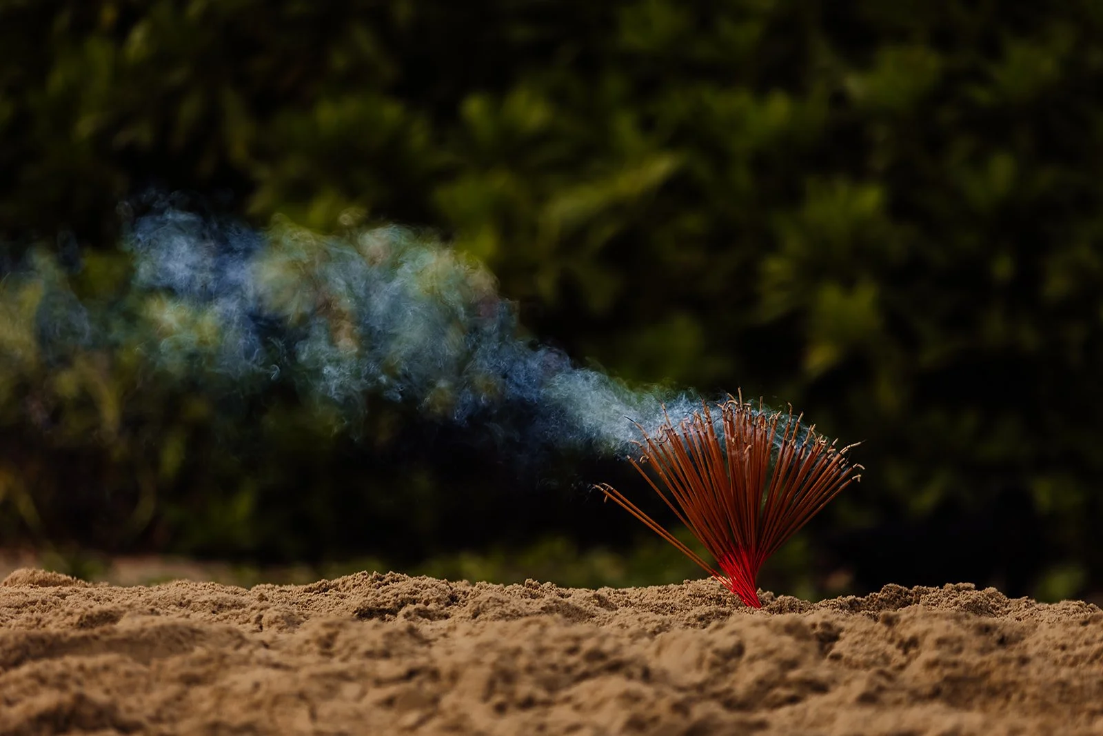 An Bang - Casey Bell Photography-81.jpg