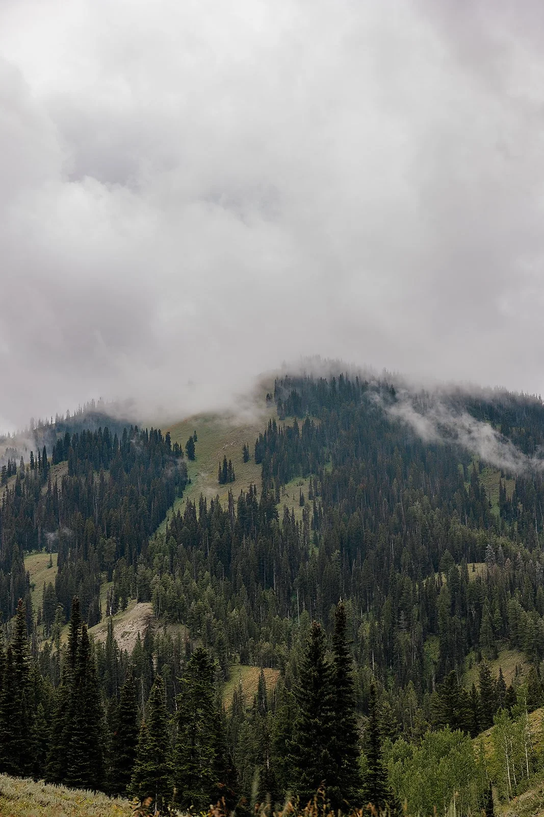 Idaho Road Trip - © Casey Bell Photography (30).jpg