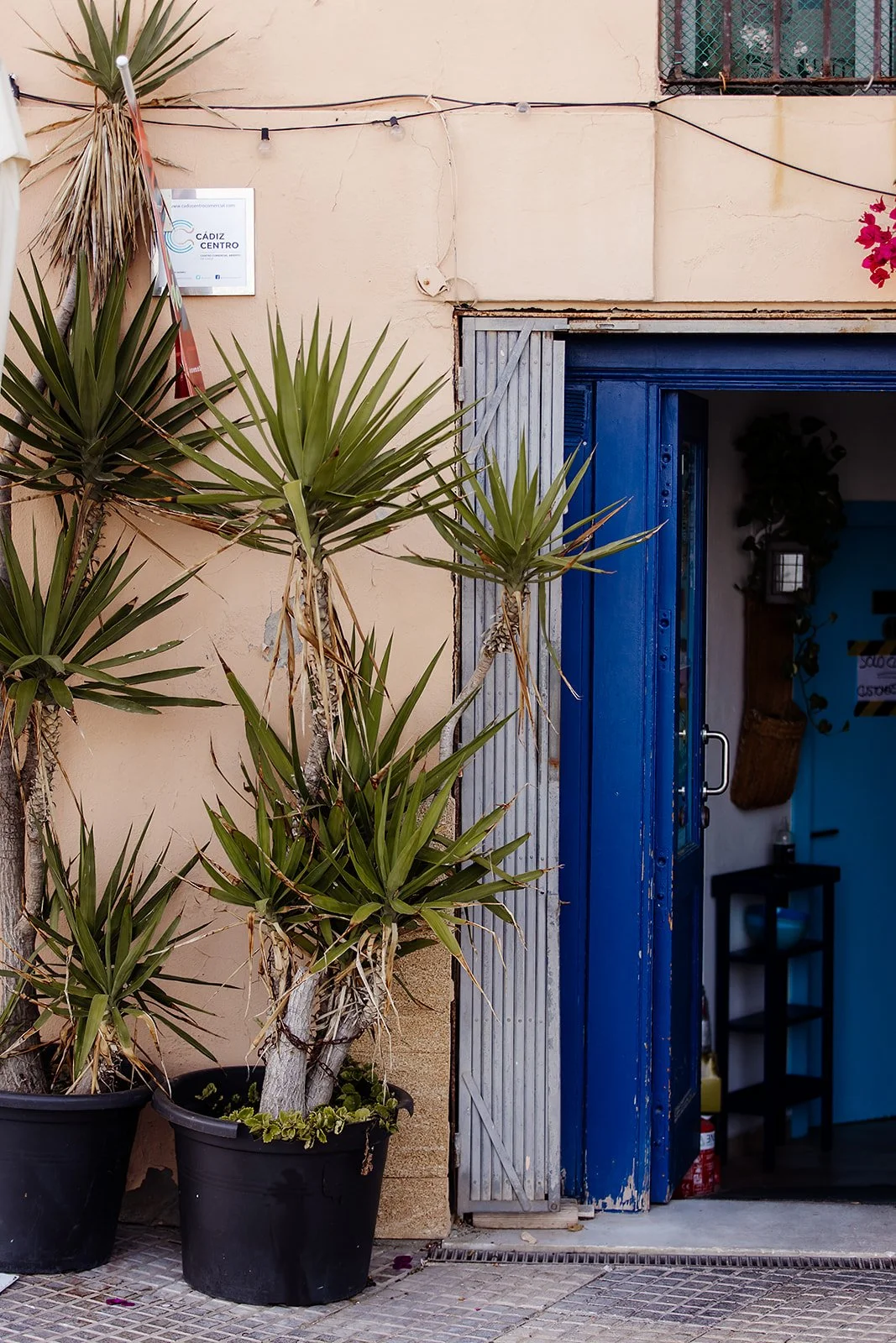 Cadiz - Casey Bell Photography (8).jpg