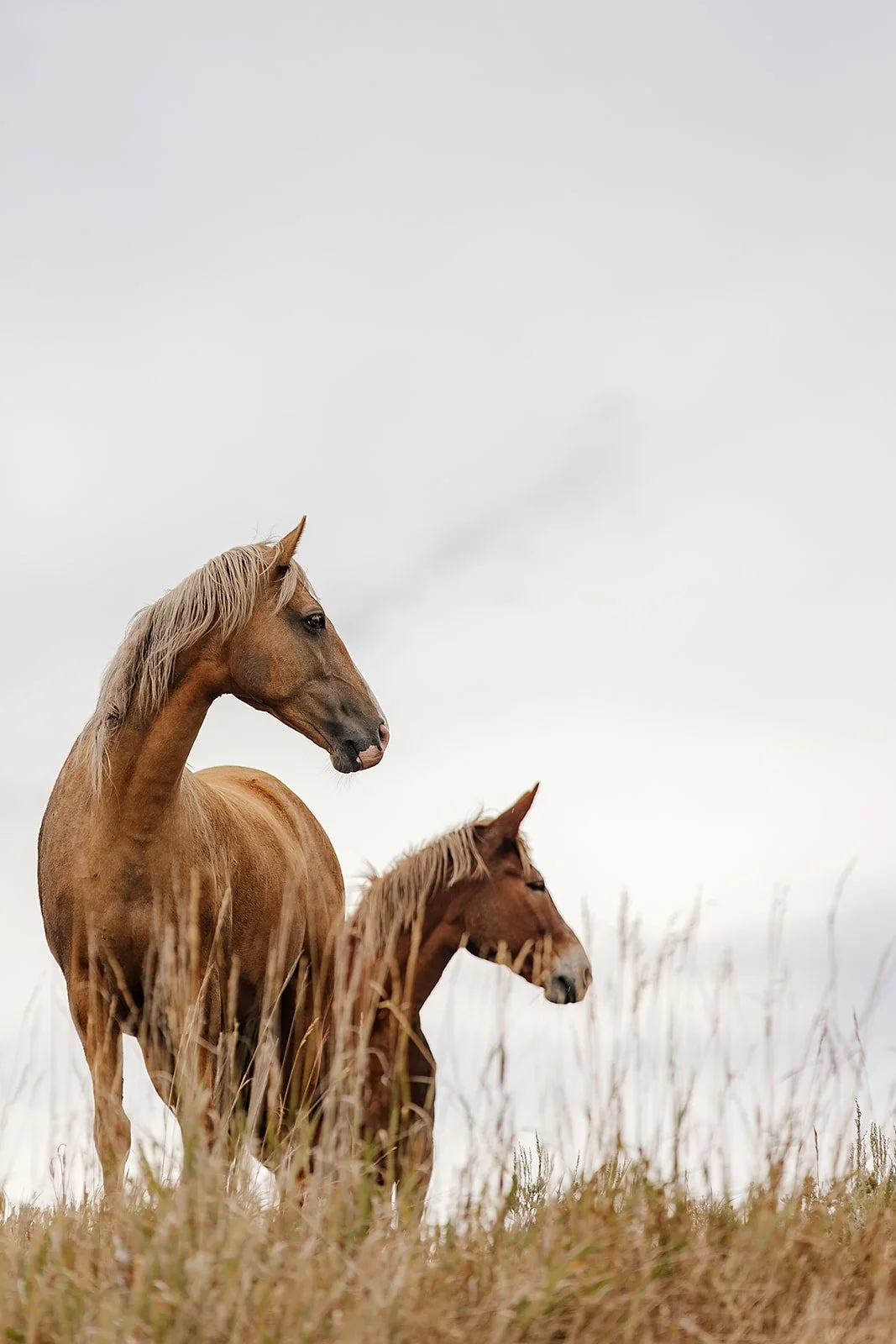 Idaho Road Trip - © Casey Bell Photography (37).jpg