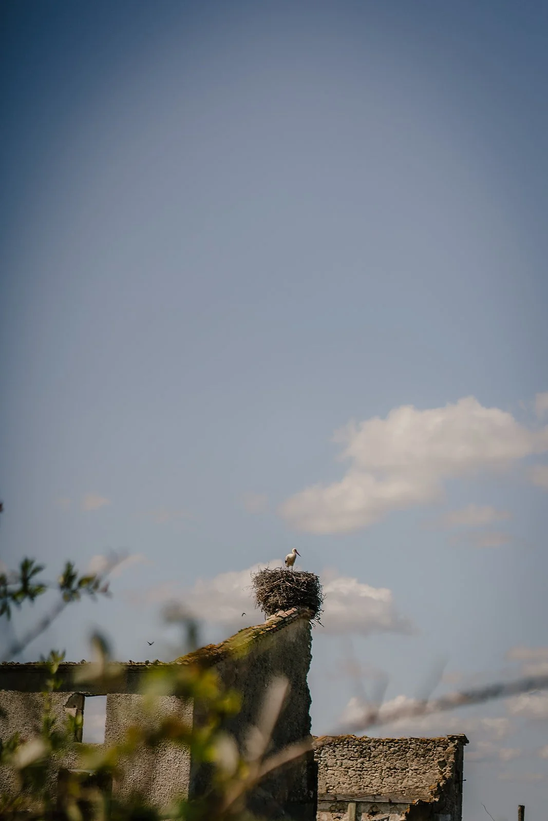 France - Casey Bell Photography (18).jpg