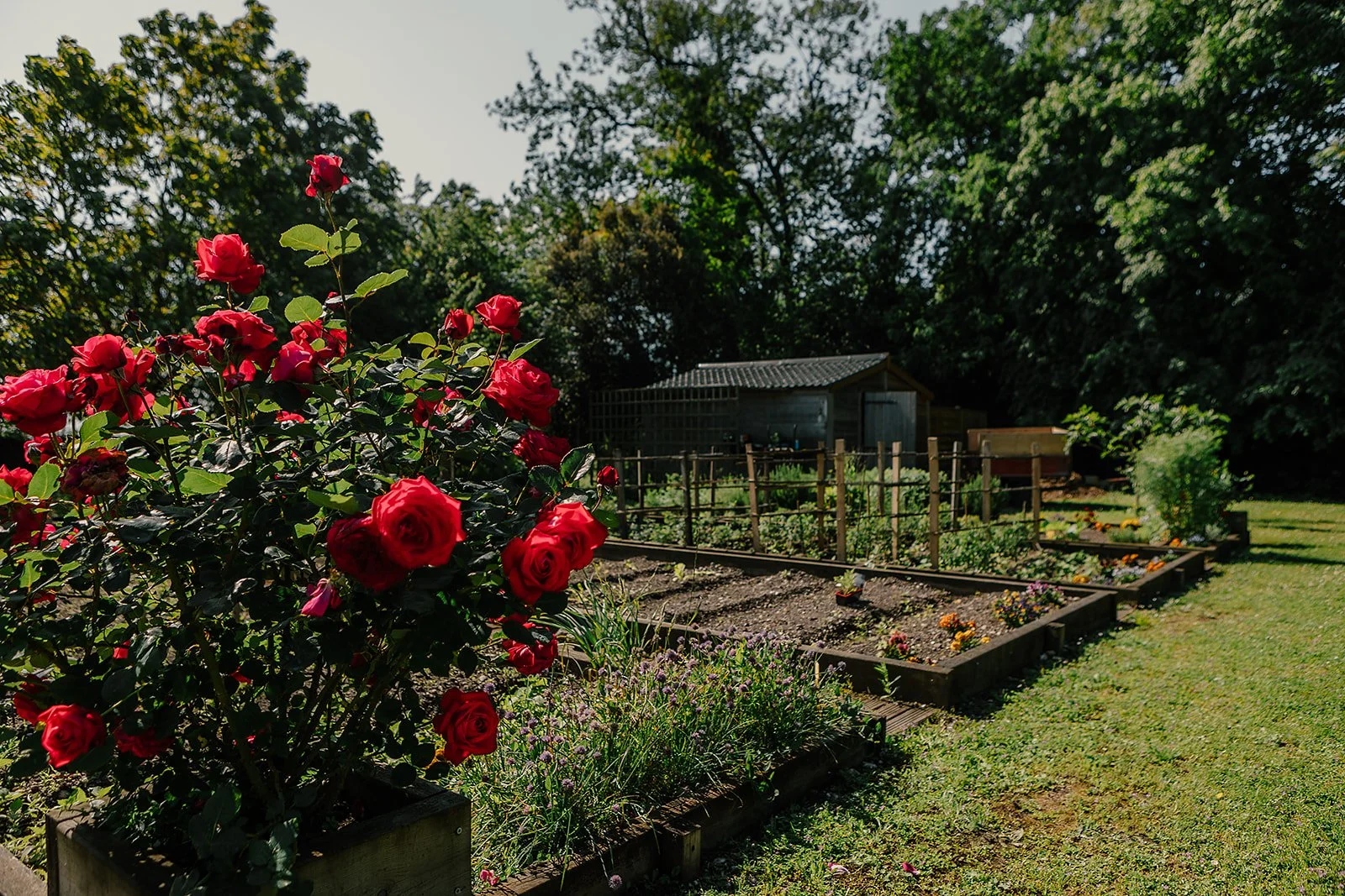 La Maison d'Estournel - Casey Bell Photography (7).jpg