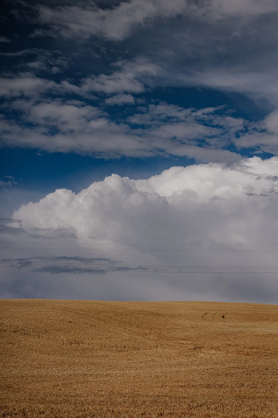 Idaho Road Trip - © Casey Bell Photography (12).jpg