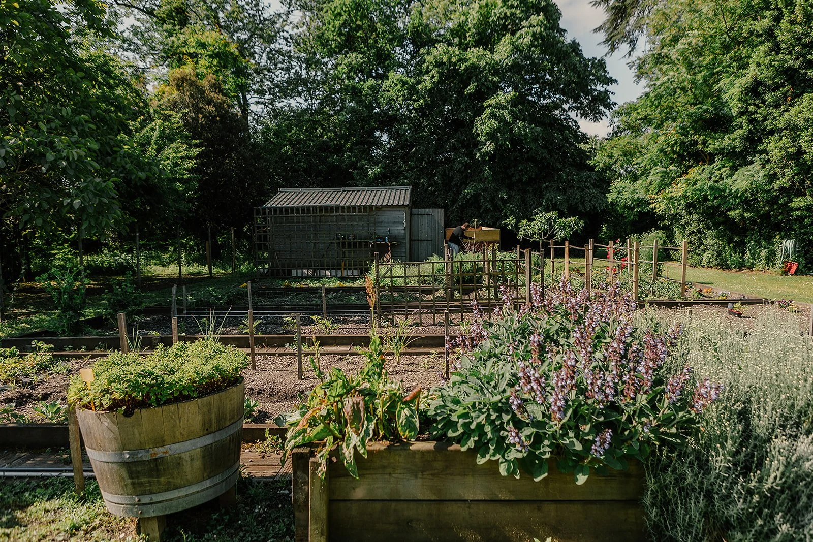 La Maison d'Estournel - Casey Bell Photography (8).jpg