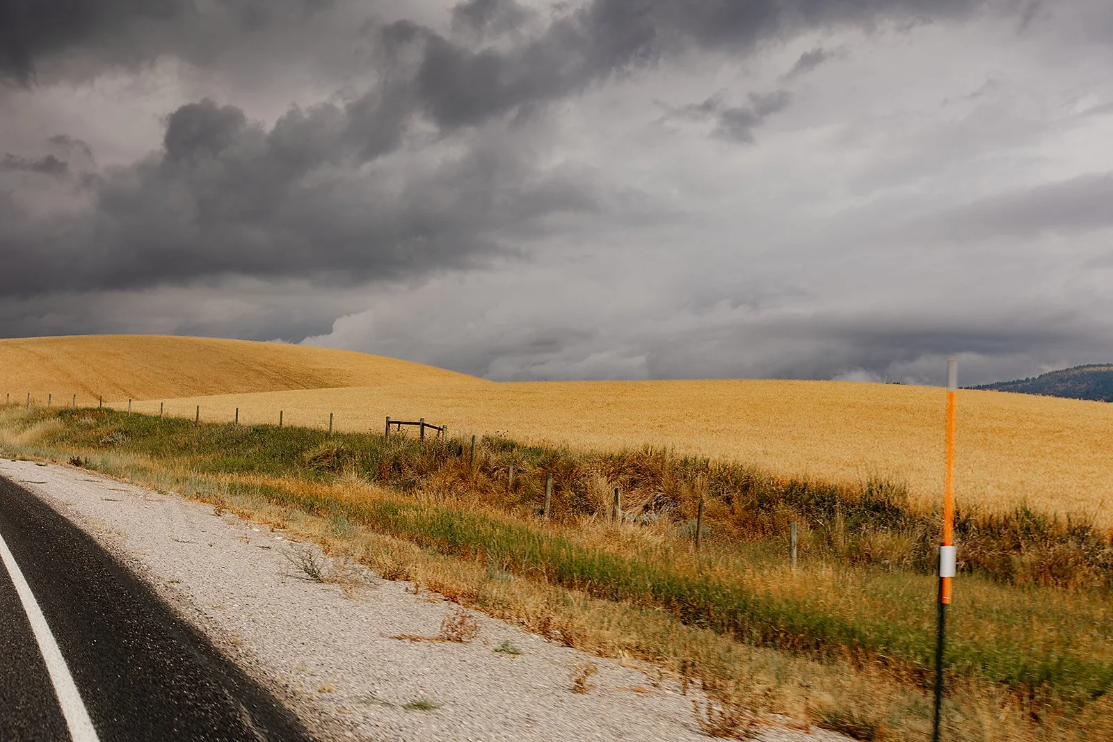 Idaho Road Trip - © Casey Bell Photography (6).jpg