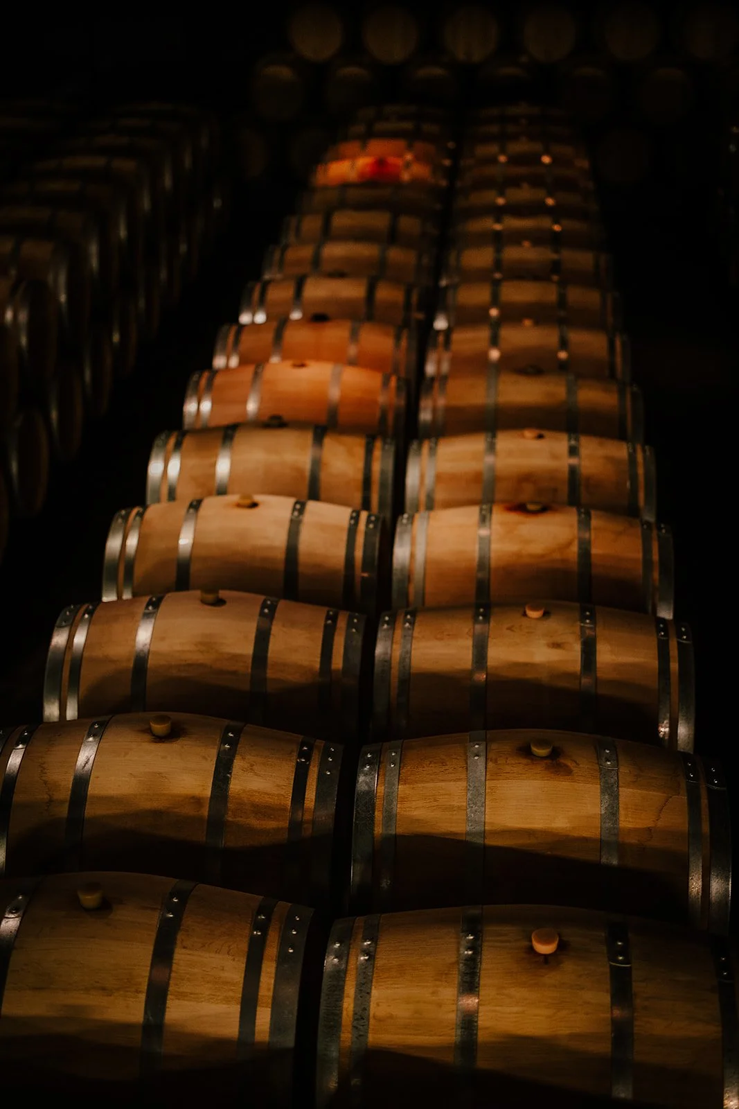 Chateau Cos d'Estourne  - Casey Bell Photography (48).jpg