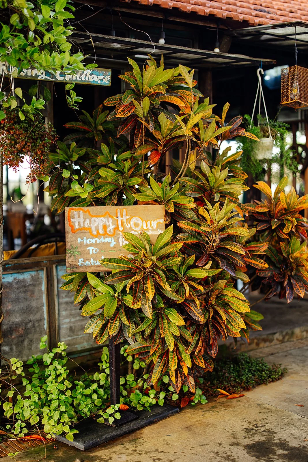 Hoi An - Casey Bell Photographer (110).jpg