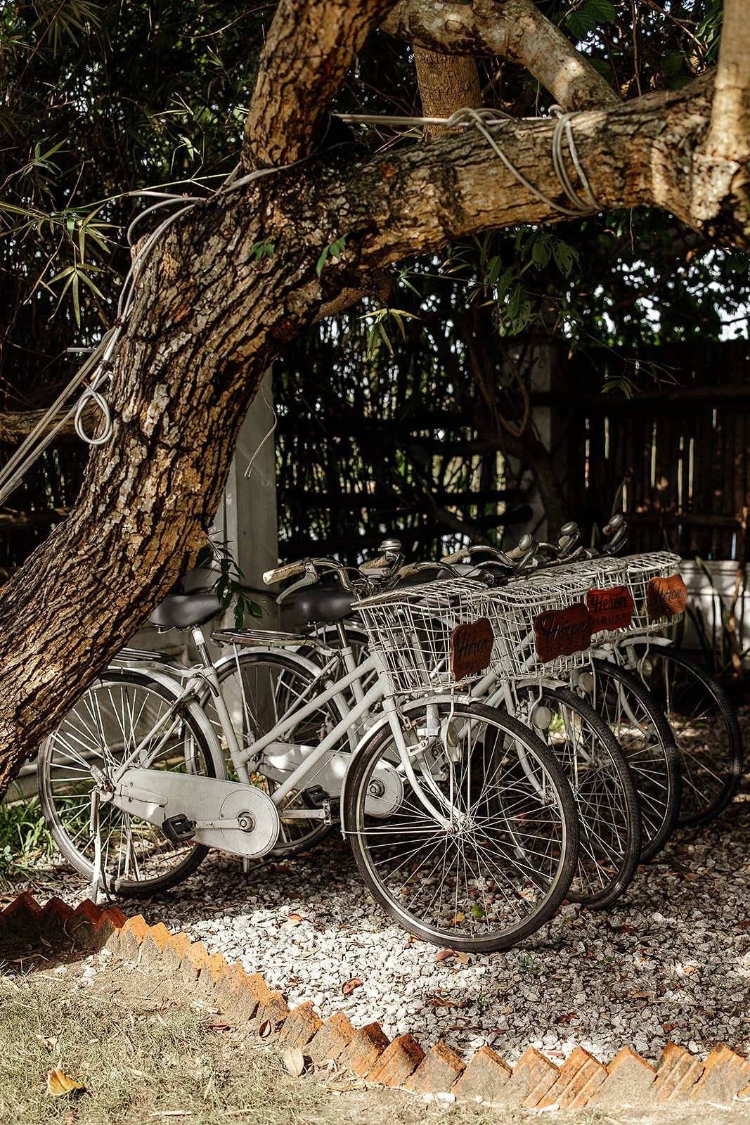 Hoi An - Casey Bell Photographer (127).jpg