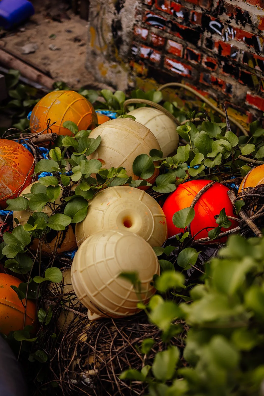 An Bang - Casey Bell Photography-90.jpg