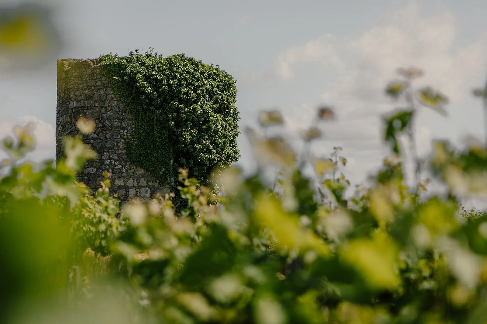 France - Casey Bell Photography (56).jpg