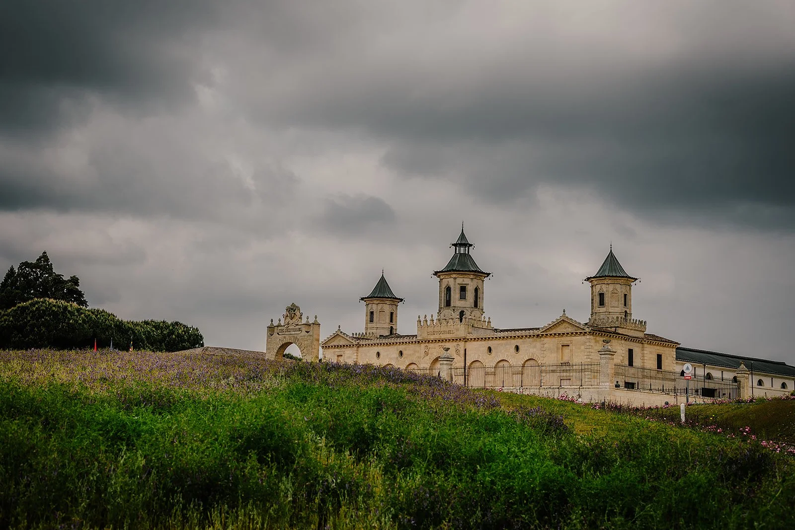 Chateau Cos d'Estourne  - Casey Bell Photography (26).jpg