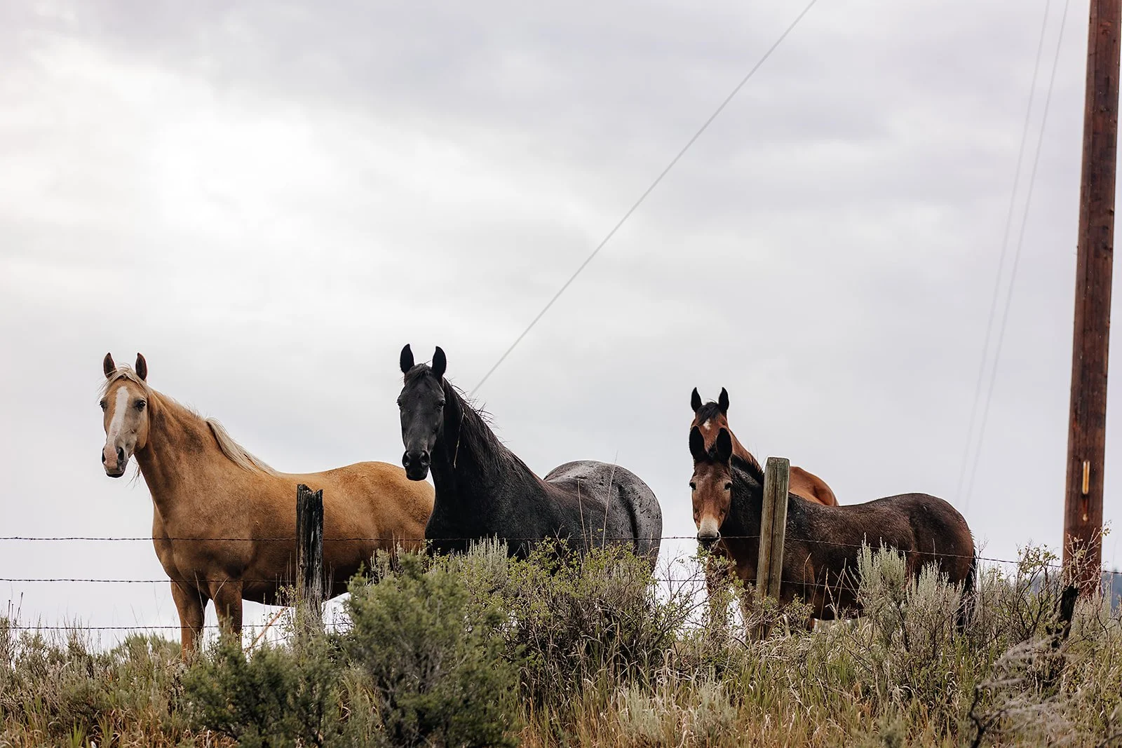 Idaho Road Trip - © Casey Bell Photography (34).jpg