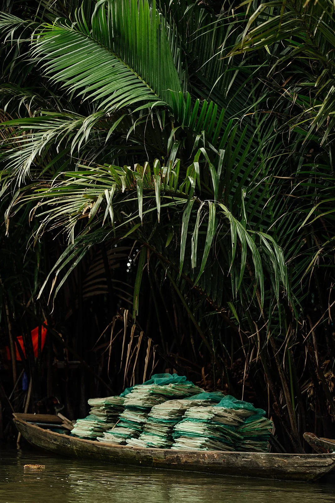 Hoi An - Casey Bell Photographer (24).jpg