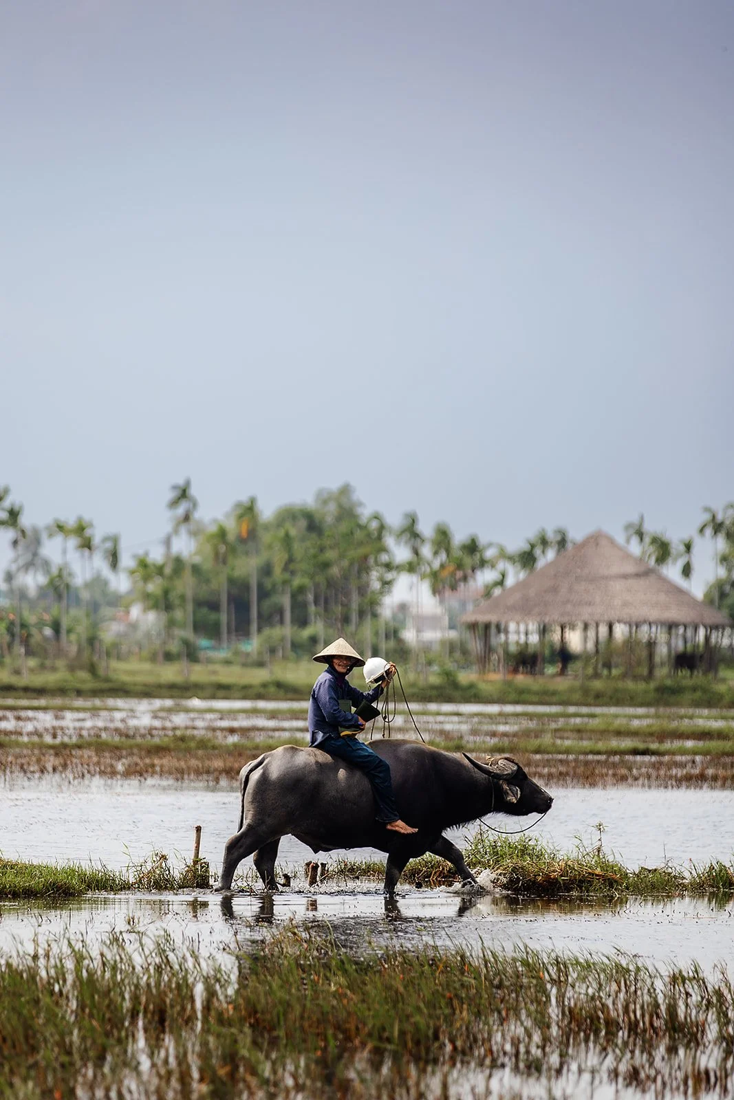 Hoi An - Casey Bell Photographer (1).jpg
