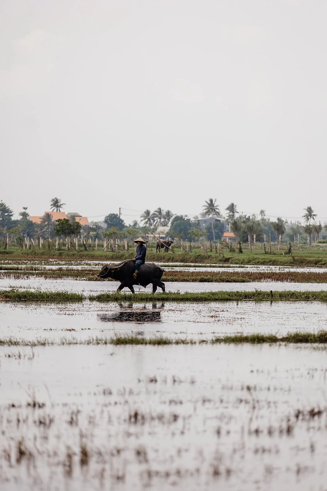 Hoi An - Casey Bell Photographer (98).jpg