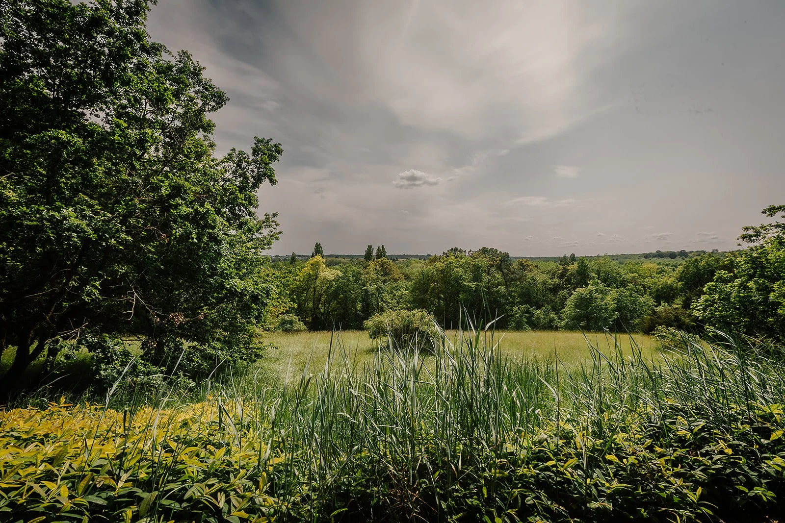 La Tortinière - Loire Valley Casey Bell Photography (18).jpg