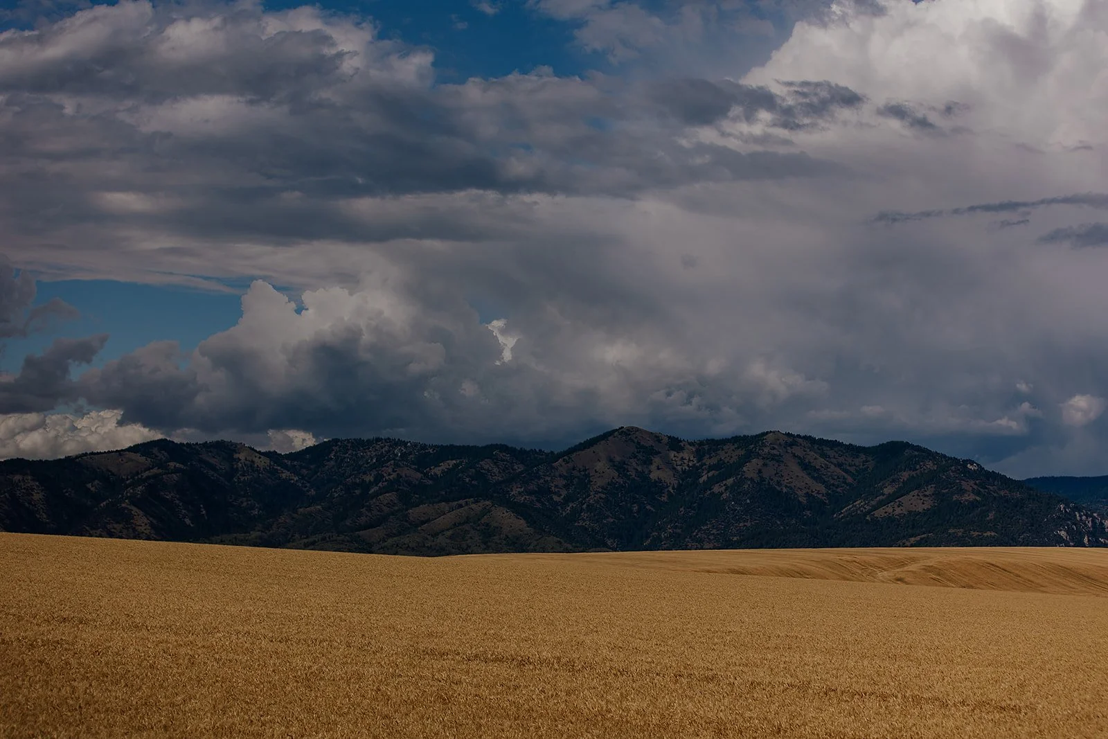 Idaho Road Trip - © Casey Bell Photography (13).jpg