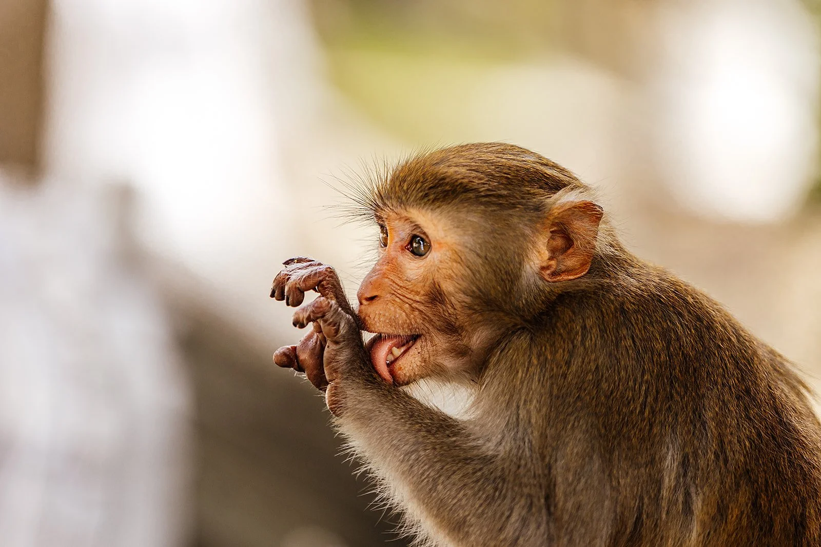 An Bang - Casey Bell Photography-207.jpg