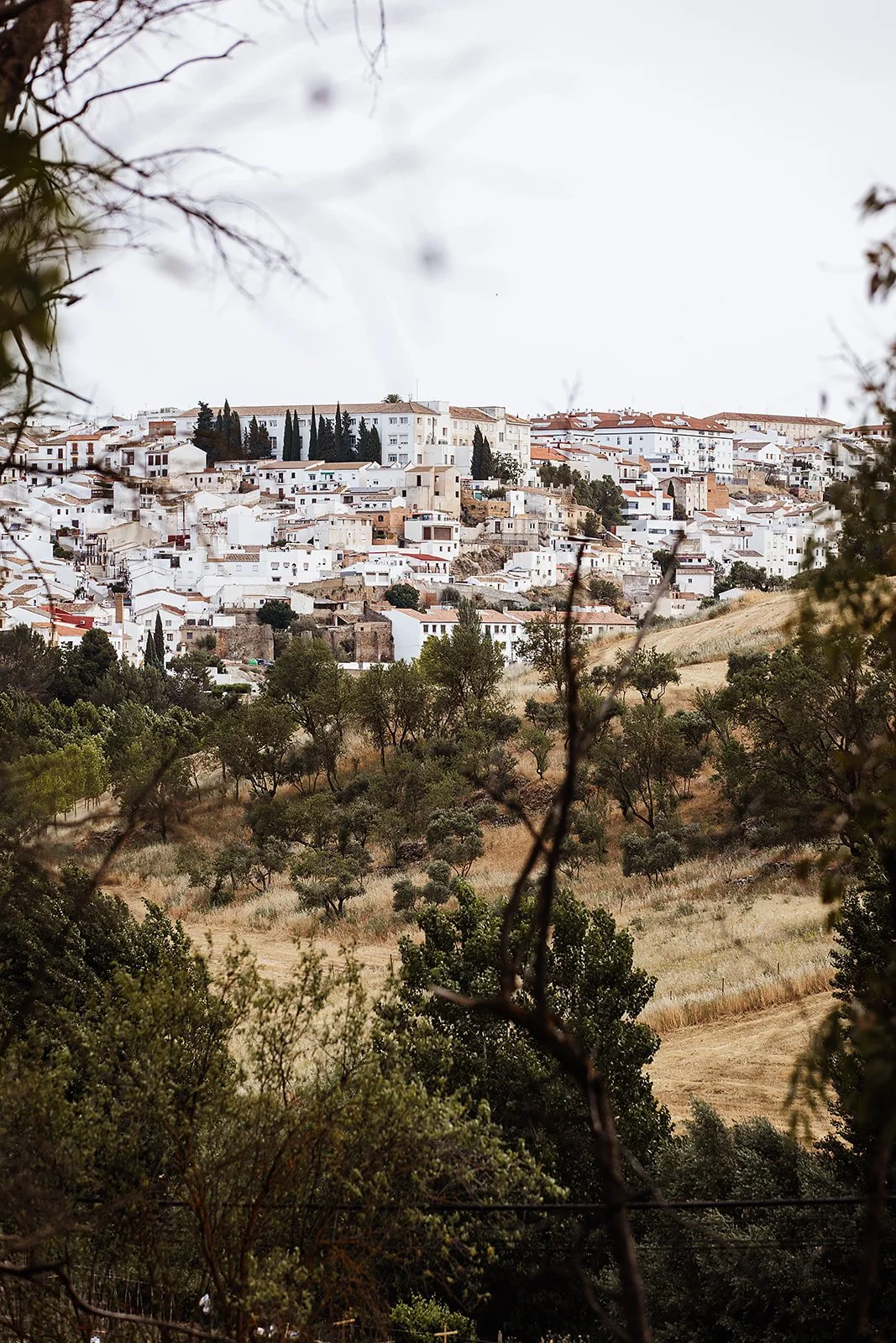 Ronda, Spain - Casey Bell Photography (30).jpg