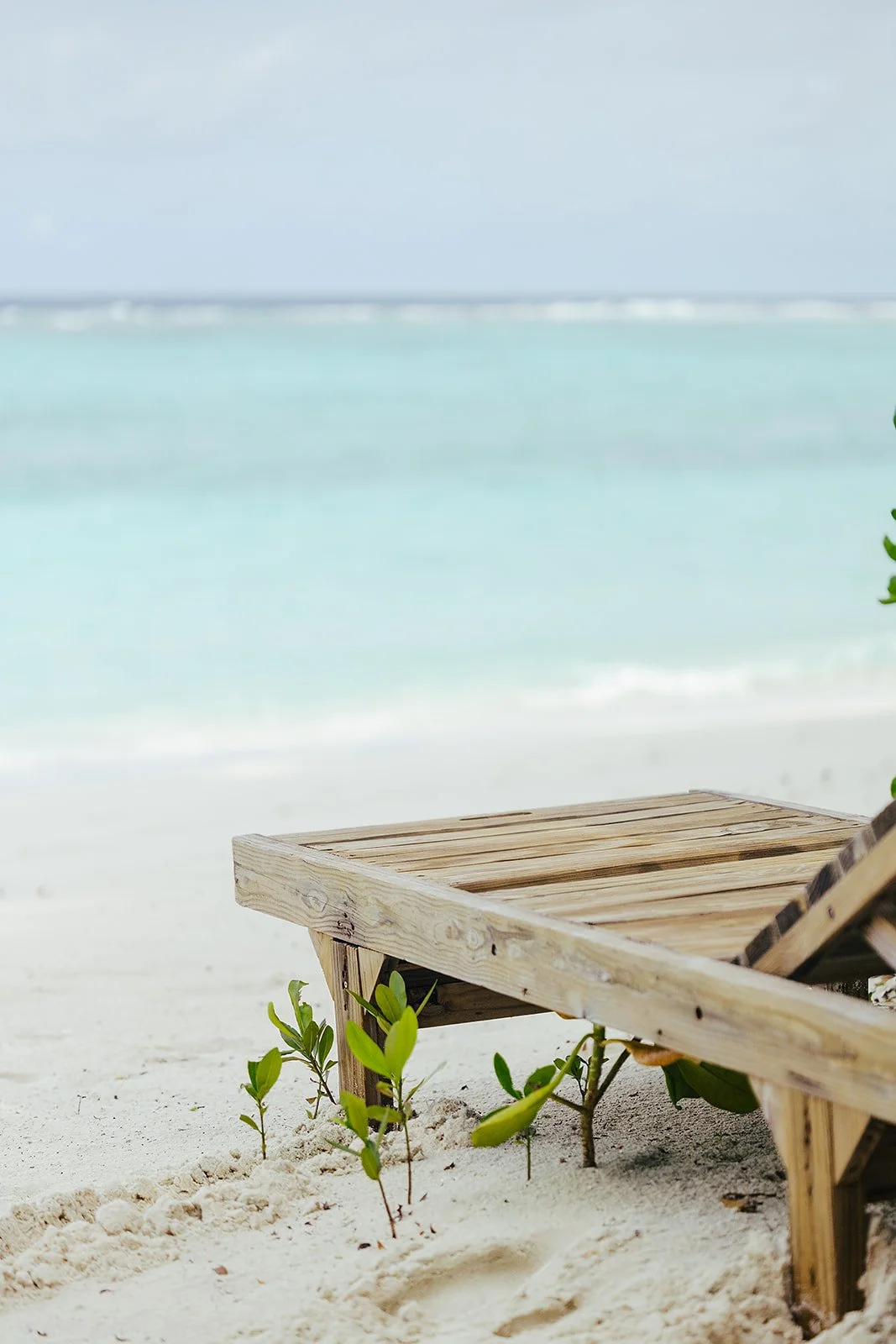 Soneva Fushi  Baa Atoll, Maldives - Casey Bell Photography (34).jpg