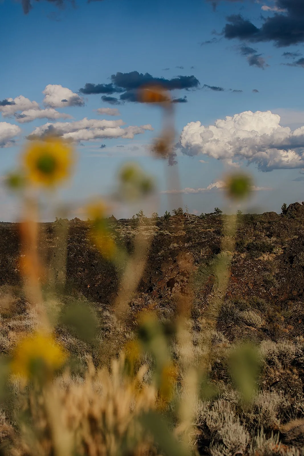 Idaho Road Trip - © Casey Bell Photography (16).jpg