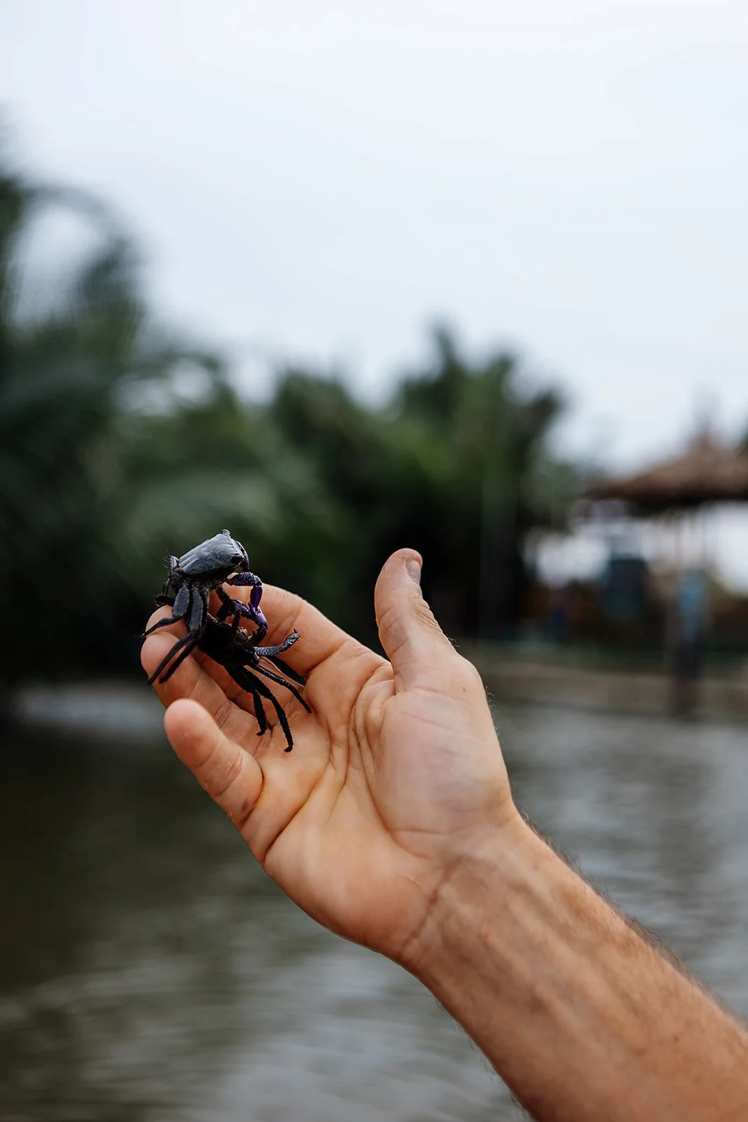 Hoi An - Casey Bell Photographer (17).jpg