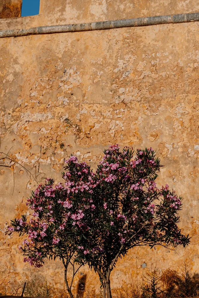 Lagos - Casey Bell Photography (17).jpg