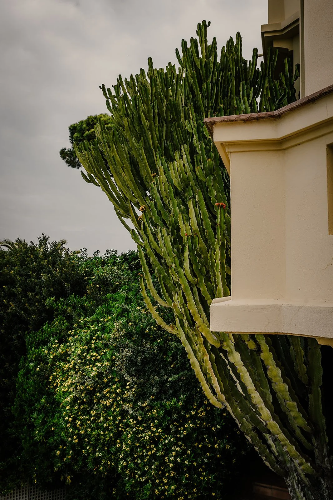 Hôtel Belles Rives - Casey Bell Photography (14).jpg