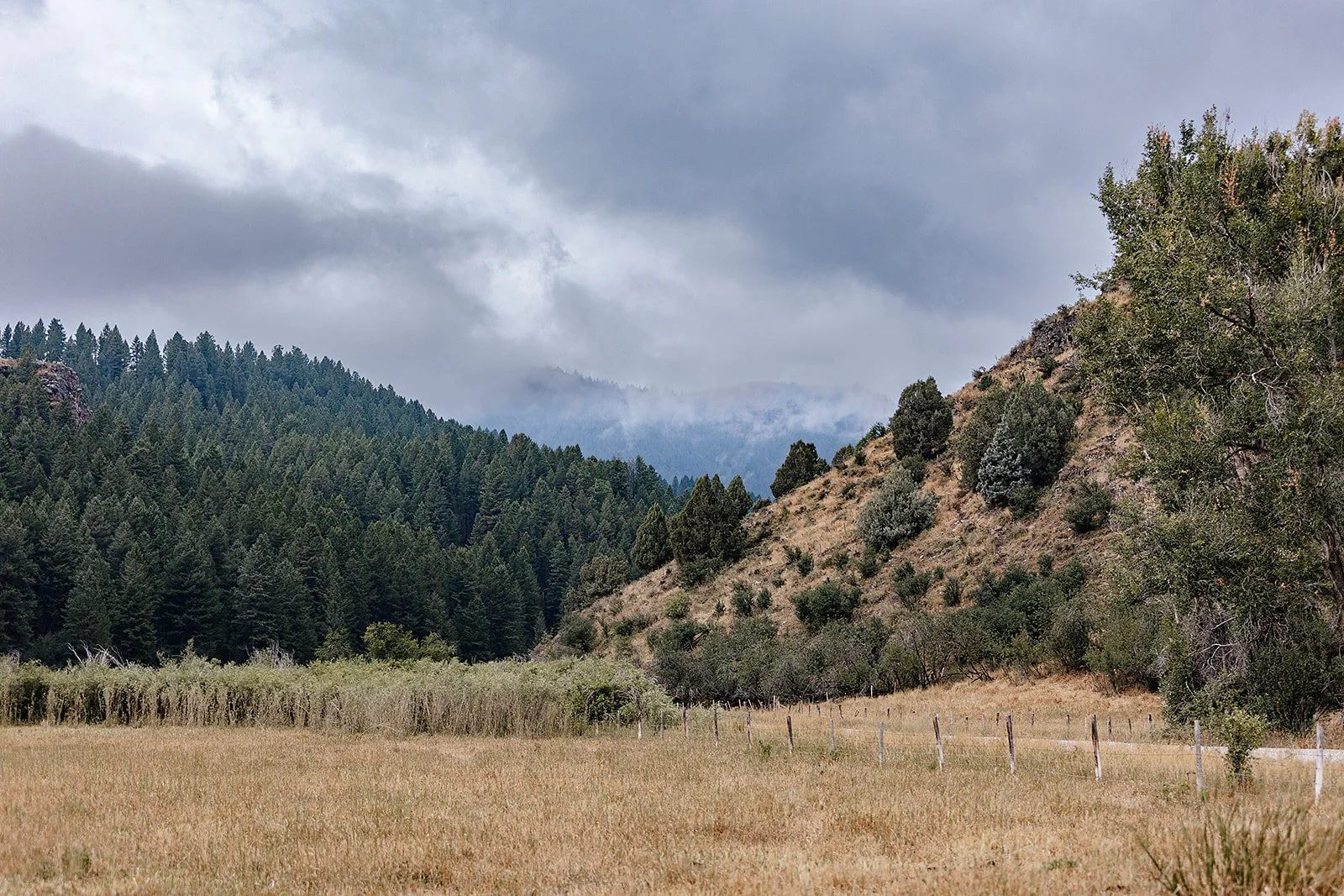 Idaho Road Trip - © Casey Bell Photography (44).jpg