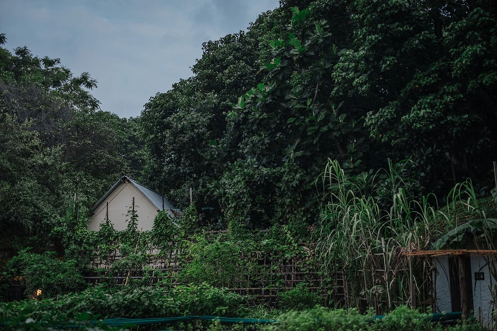 Soneva Fushi  Baa Atoll, Maldives - Casey Bell Photography (28).jpg