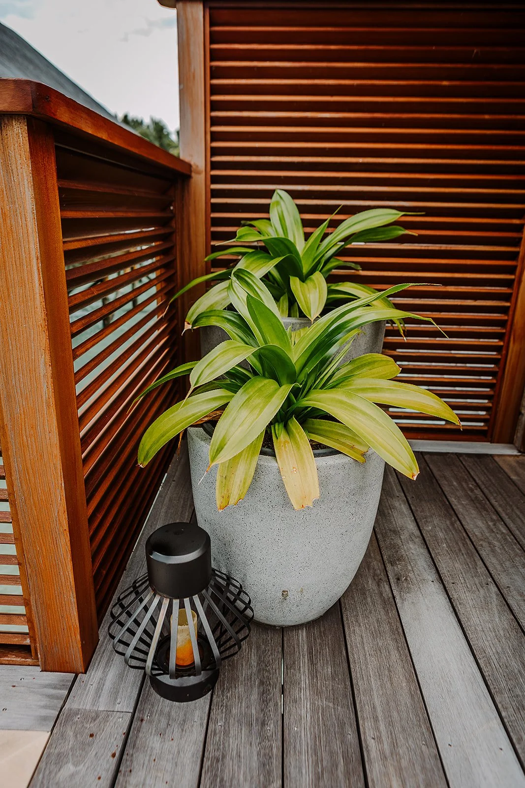 Conrad Maldives Rangali Island - Casey Bell Photography (66).jpg