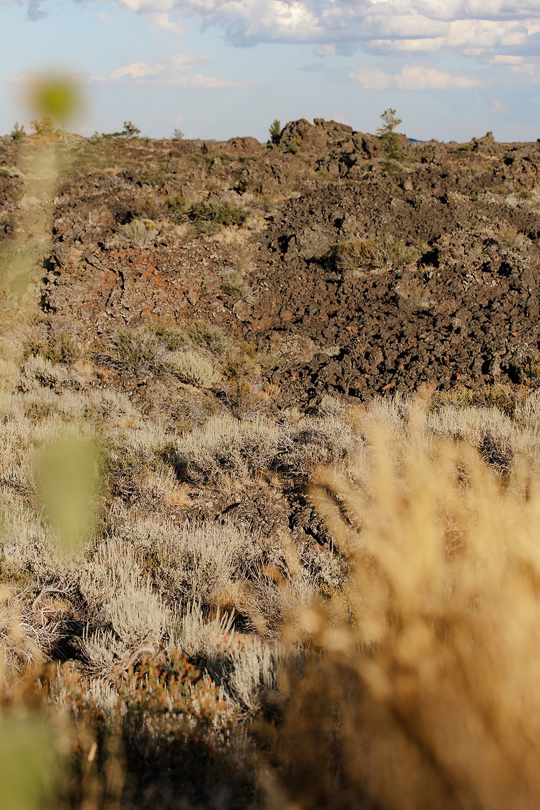 Idaho Road Trip - © Casey Bell Photography (15).jpg