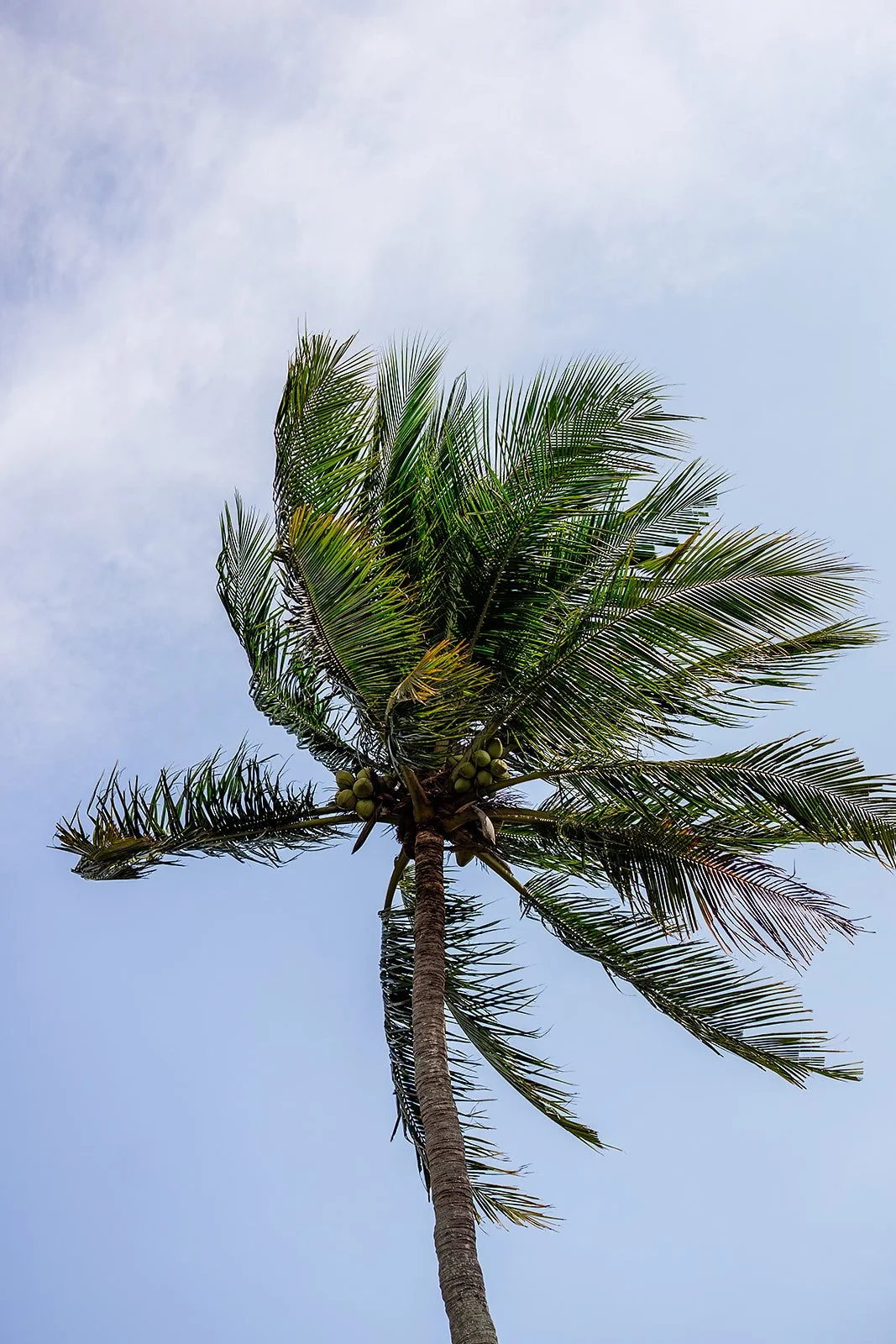 Hoi An - Casey Bell Photographer (49).jpg